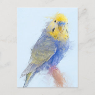 Carte Postale Budgie Portrait No.10