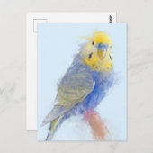 Carte Postale Budgie Portrait No.10 (Devant / Derrière)