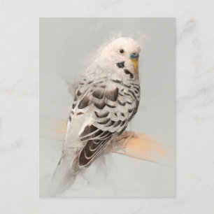 Carte postale Budgie Portrait No.11