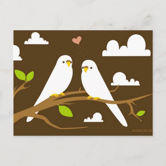 Carte postale Budgies (Devant)