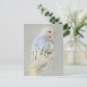 Carte postale Budgies No.7 (Debout devant)