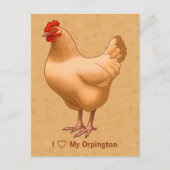 Carte Postale Buff Orpington Poulet Hen (Devant)