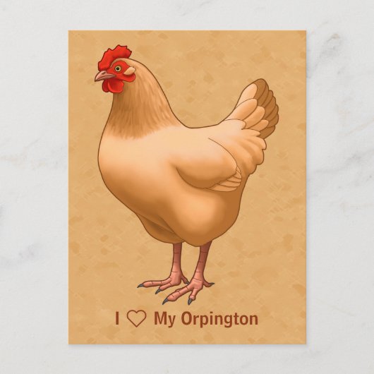 Carte Postale Buff Orpington Poulet Hen (Devant)