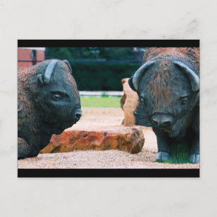 Carte Postale Buffalo