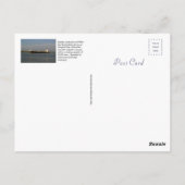 Carte postale Buffalo (Dos)