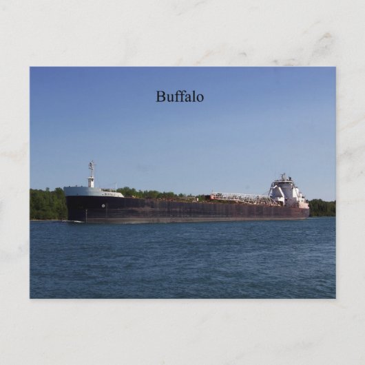 Carte postale Buffalo (Devant)