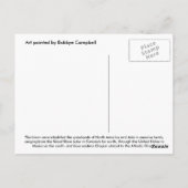 Carte postale Buffalo (Dos)