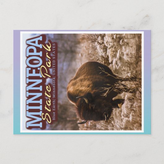 CARTE POSTALE BUFFALO - MINNEOPA STATE PARK - MINNESOTA USA (Devant)