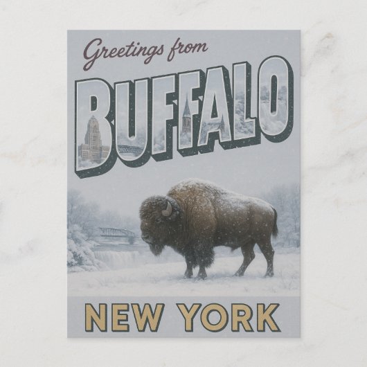 Carte Postale Buffalo New York hiver (Devant)