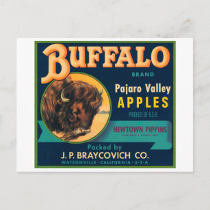 Carte Postale Buffalo Pajaro Valley Pommes Vintage Étiquette Cra