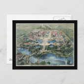 Carte Postale Buffle d'exposition panaméricain1901 (Devant / Derrière)