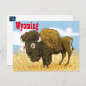 Carte Postale Buffle du Wyoming (Devant / Derrière)