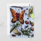 Carte Postale Bugs (Devant / Derrière)