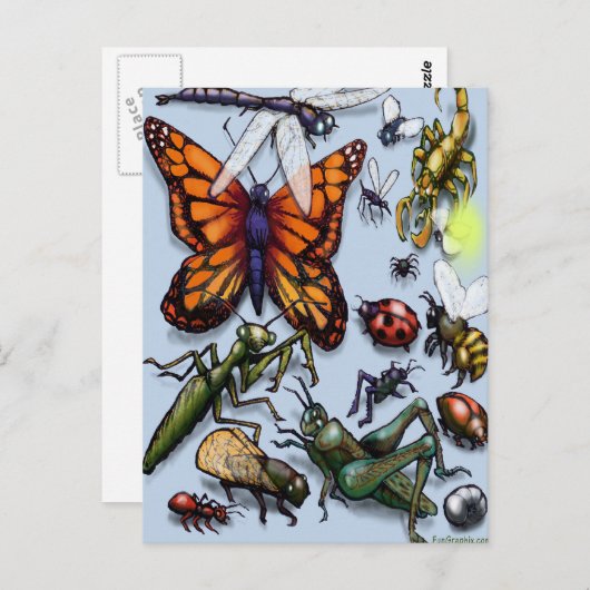 Carte Postale Bugs (Devant / Derrière)