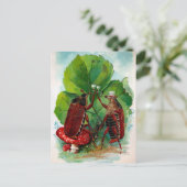 Carte postale Bugs vintages Victoriens (Debout devant)