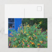 Carte Postale Buisson de lantana (Devant / Derrière)