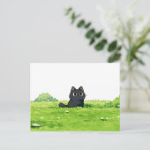 Carte Postale Buisson Vert Fluffy Mignon Chat Noir (Debout devant)