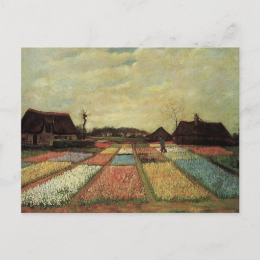 Carte Postale Bulb Fields par Vincent van Gogh (Devant)