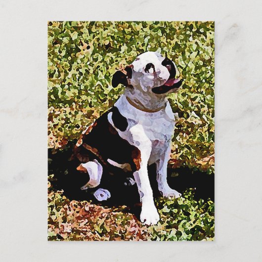 Carte Postale Buldog assis avec la bouche ouverte (Devant)