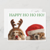 Carte postale Buldogs de Noël 2 (Devant / Derrière)