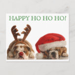 Carte postale Buldogs de Noël 2<br><div class="desc">Vite,  facile et fantastique Bonjour cette année! Ajoutez simplement le timbre Bulldog correspondant (disponible dans notre boutique) et vous avez terminé ! Happy Ho Ho Ho de PetsRPepeople2 Designs</div>