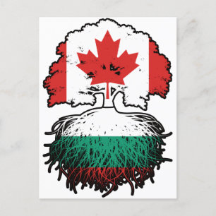 Carte Postale Bulgarie Drapeau canadien bulgare des racines d'ar