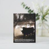 Carte Postale Bull (Debout devant)