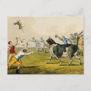 Carte Postale "Bull Baiting", pub. de Thomas McLean, 1820, (prin