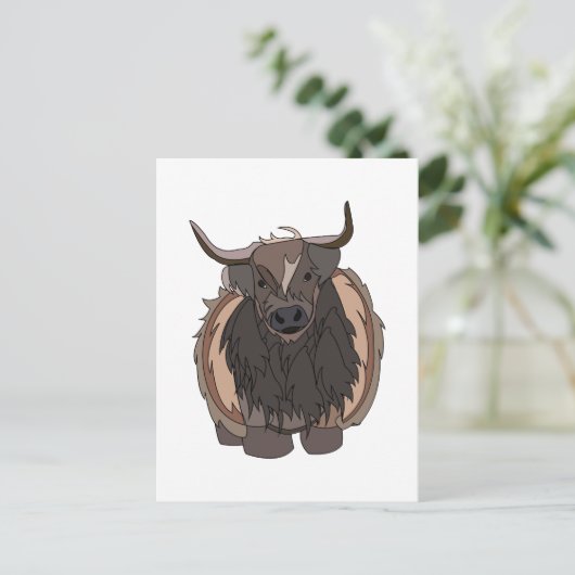 Carte Postale Bull Cattle (Debout devant)