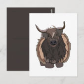 Carte Postale Bull Cattle (Devant / Derrière)