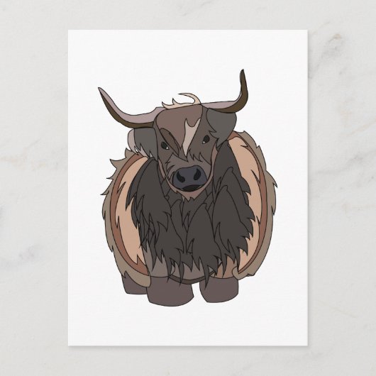 Carte Postale Bull Cattle (Devant)