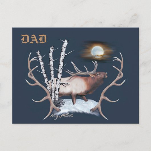 Carte postale Bull Elk (Devant)