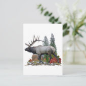 Carte Postale Bull Elk (Debout devant)