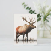 Carte Postale Bull Elk (Debout devant)