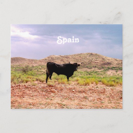 Carte Postale Bull en Espagne (Devant)