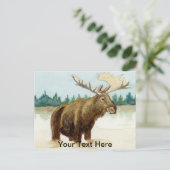 Carte Postale Bull Moose (Debout devant)
