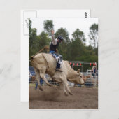 CARTE POSTALE BULL RIDING BERT (Devant / Derrière)