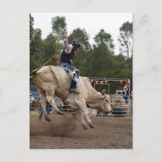 CARTE POSTALE BULL RIDING BERT (Devant)