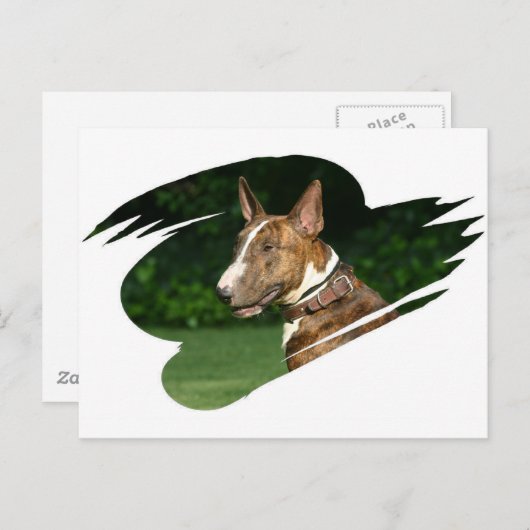 Carte postale Bull Terrier (Devant / Derrière)