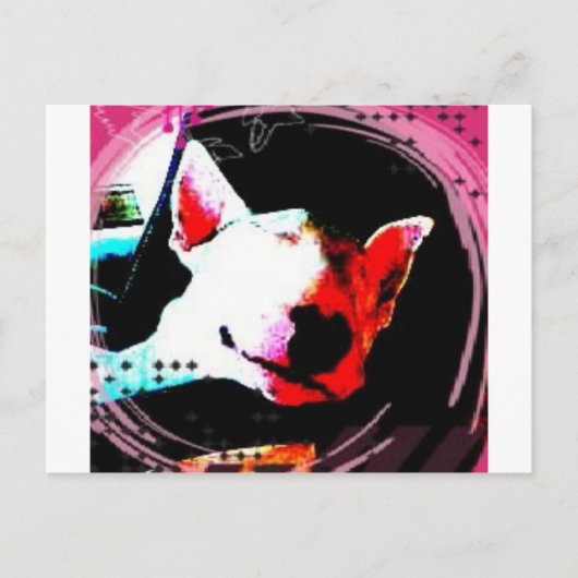Carte Postale bull terrier anglais (Devant)