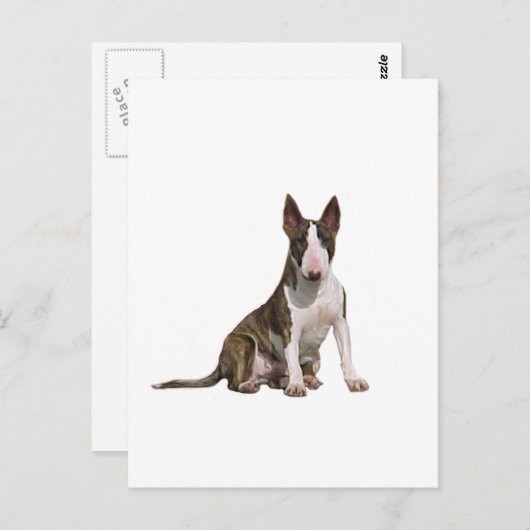 Carte Postale Bull Terrier (B) - Brindle et blanc (Devant / Derrière)