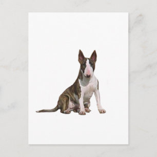 Carte Postale Bull Terrier (B) - Brindle et blanc