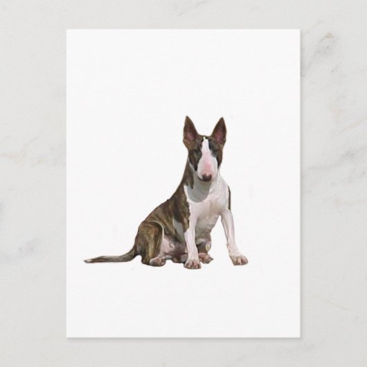 Carte Postale Bull Terrier (B) - Bringé et blanc (Devant)