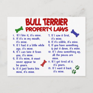 Carte Postale BULL TERRIER Propriété Lois 2