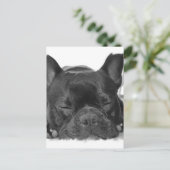 Carte postale Bulldog (Debout devant)