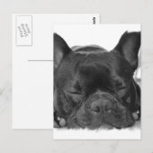 Carte postale Bulldog (Devant / Derrière)