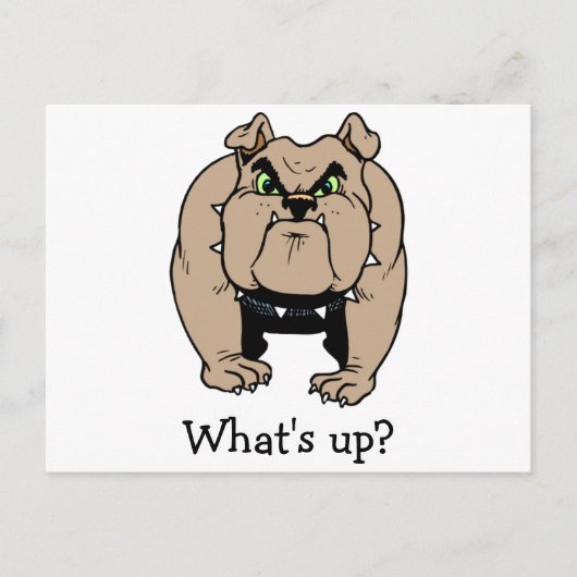 Carte postale Bulldog (Devant)