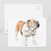 Carte Postale Bulldog (Devant / Derrière)