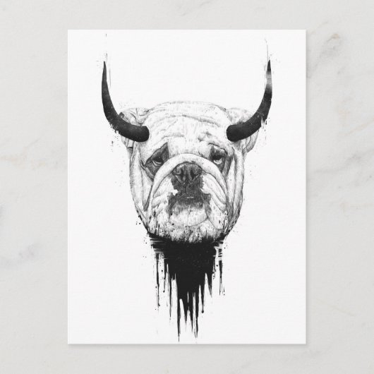 Carte Postale Bulldog (Devant)