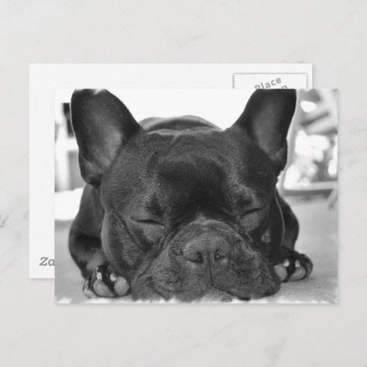 Carte postale Bulldog (Devant / Derrière)